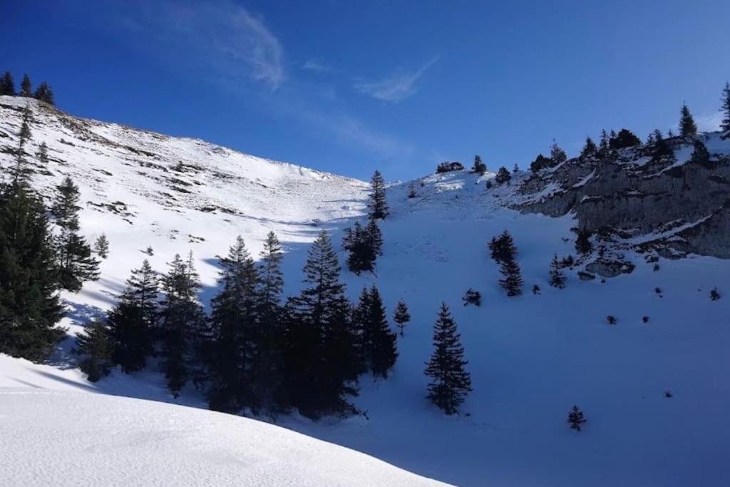 Nice And Cosy Flat Near Geneva Or Annecy Bellegarde-sur-Valserine Bagian luar foto