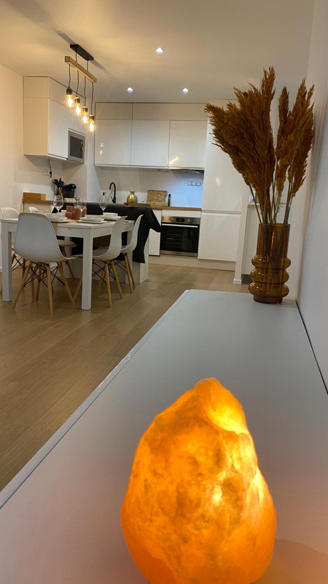 Nice And Cosy Flat Near Geneva Or Annecy Bellegarde-sur-Valserine Bagian luar foto